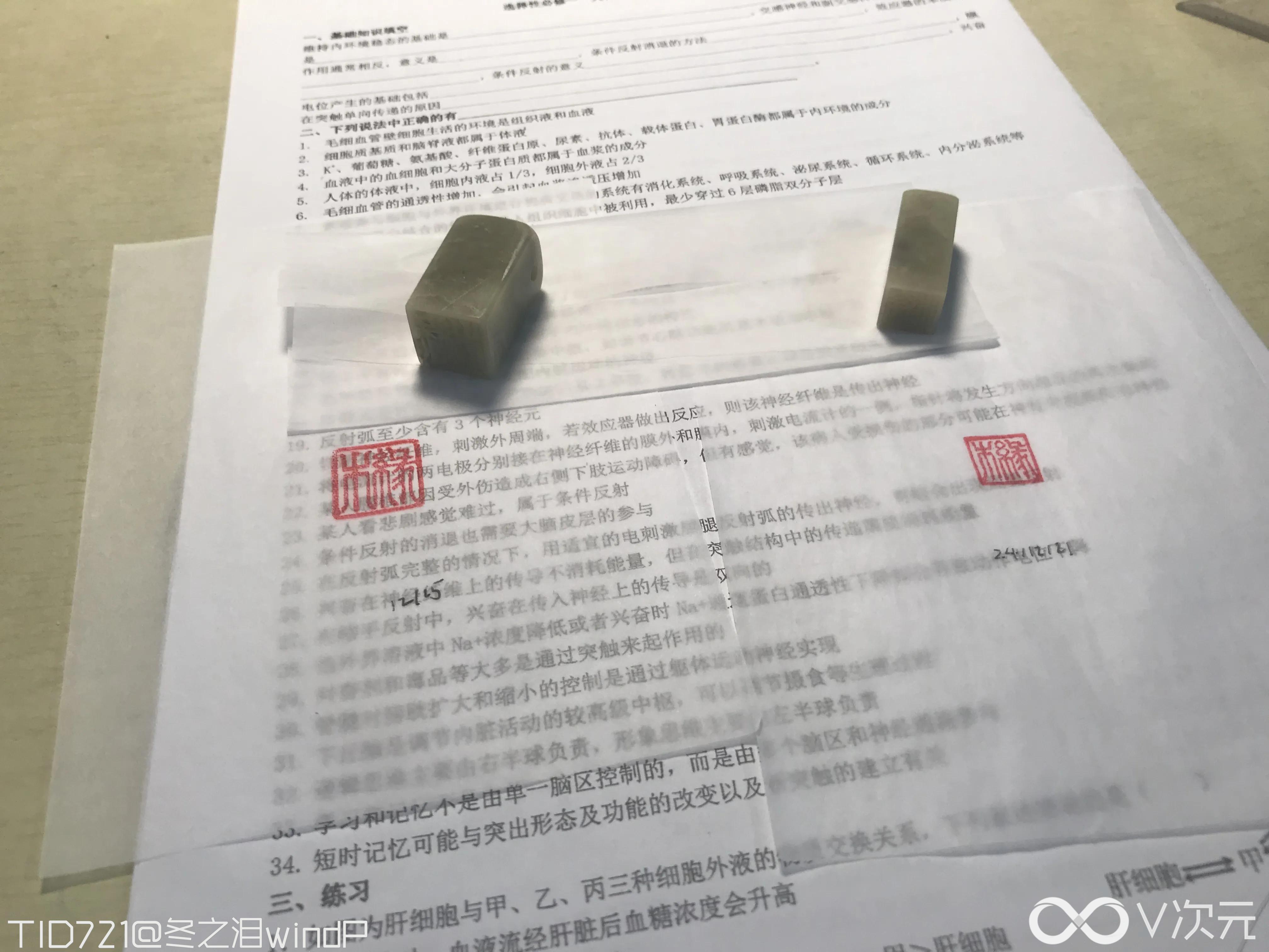 AEF8888F-A95B-4F7B-9517-9D68F6DB1240.webp