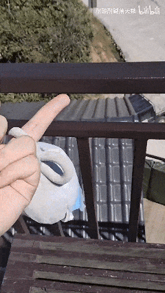 1月29日 (3)(3).gif