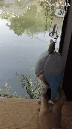 1月29日 (3)(4).gif