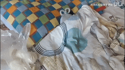 1月29日 (3)(8).gif