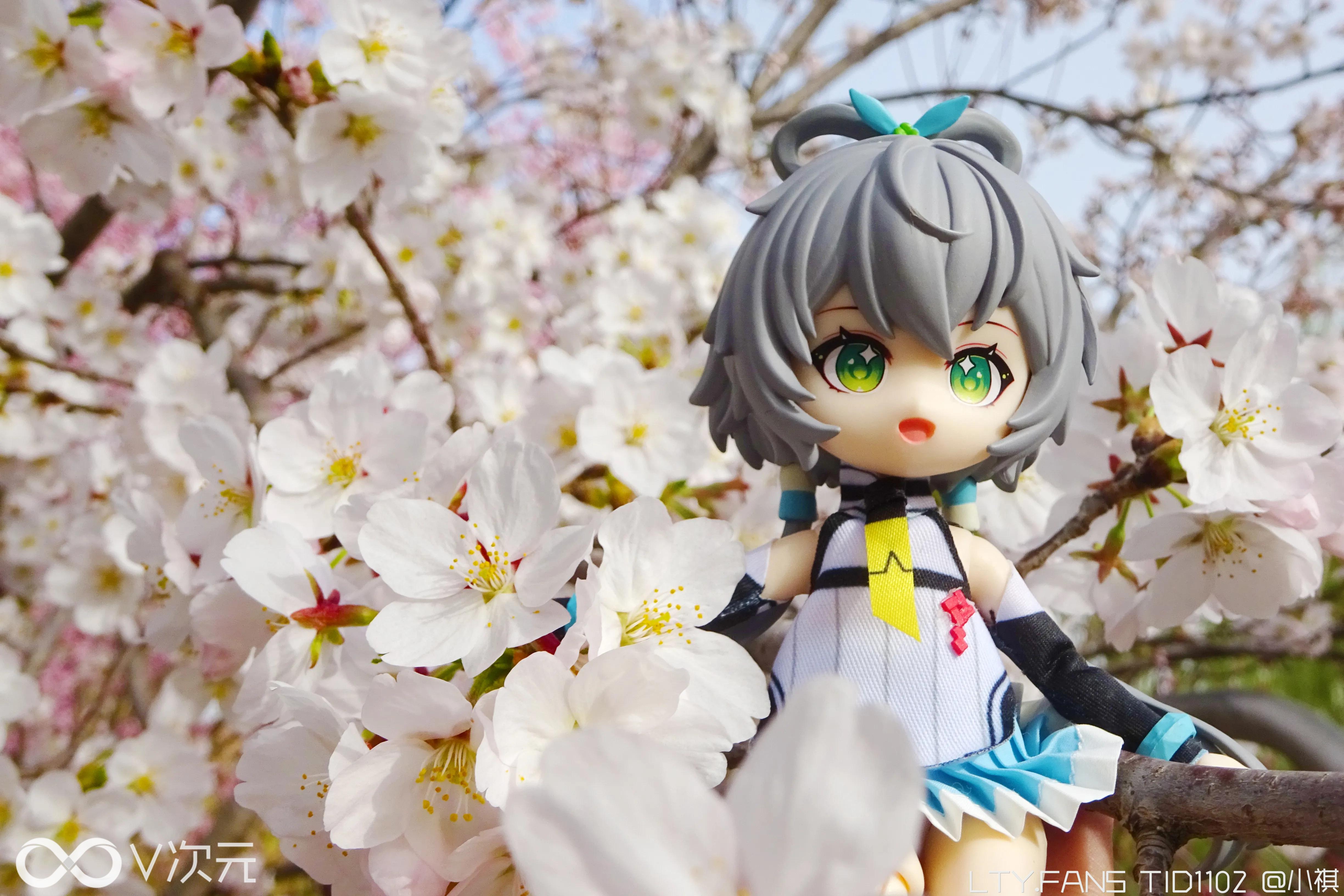 DSC00499_1.webp
