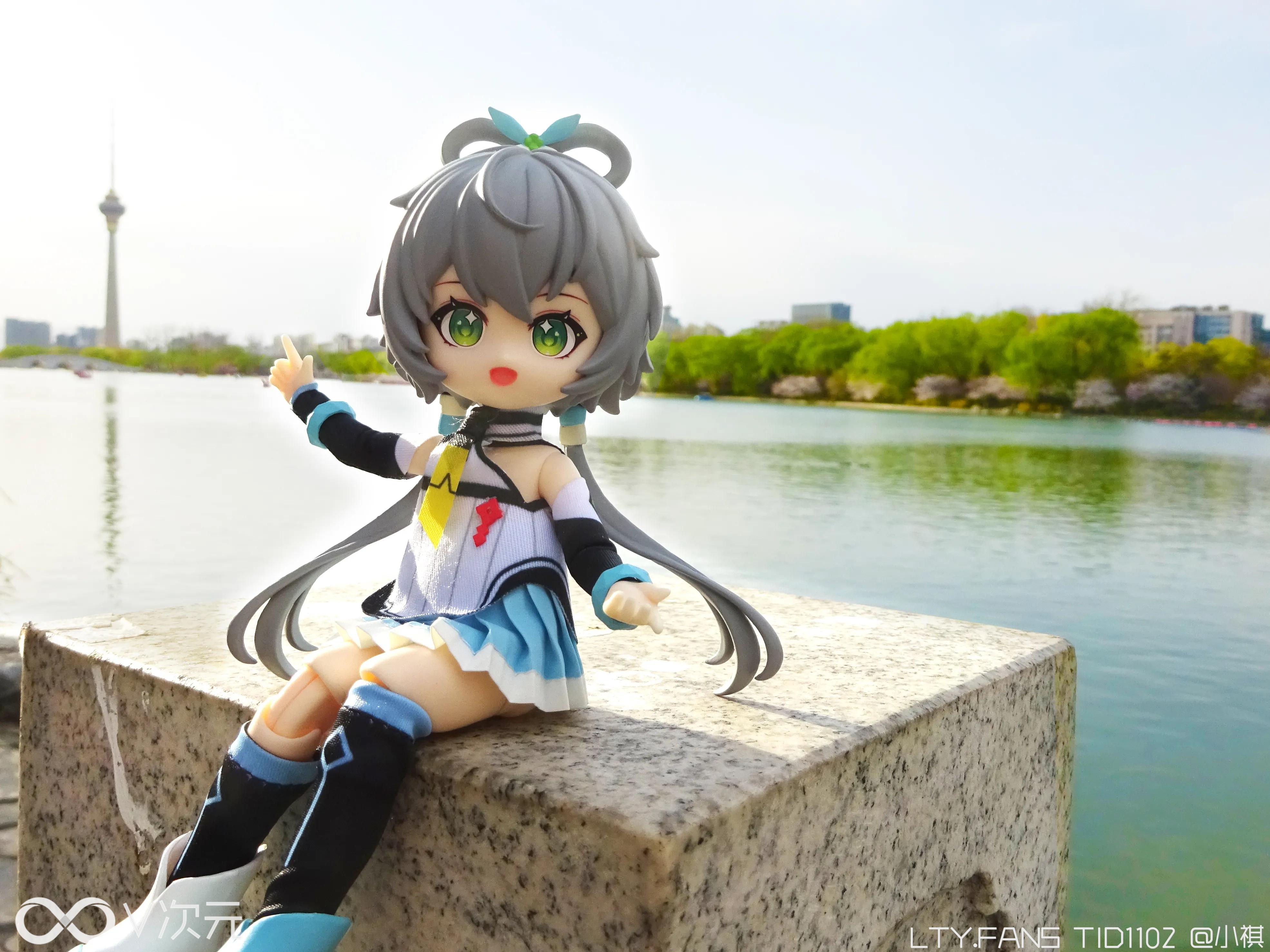 DSC00736.webp