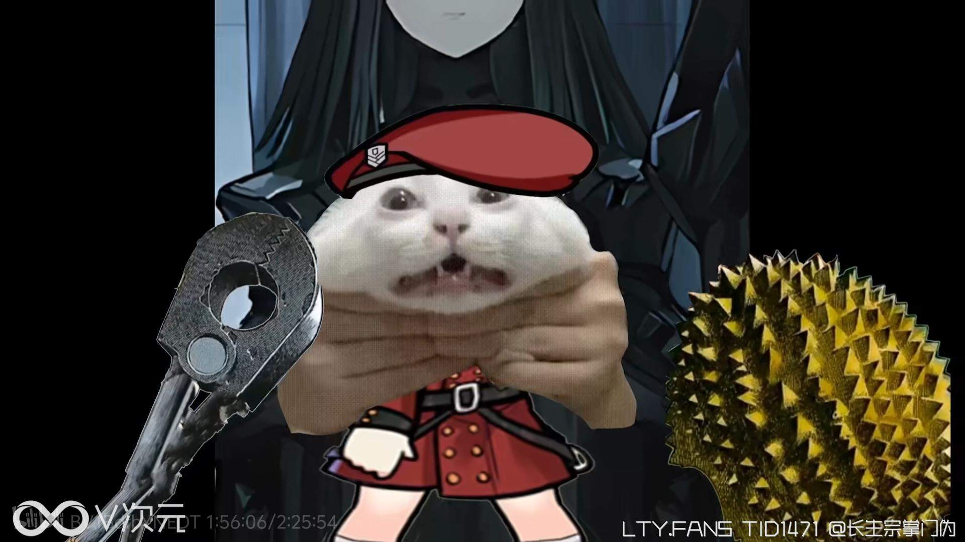 1000030055.png